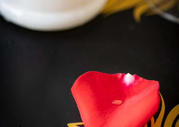 Appartement Kingdom Of 3 Roses